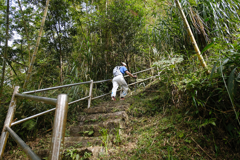【大湖尖山】一座爬的膽戰心驚的山 | 阿里山下小百岳