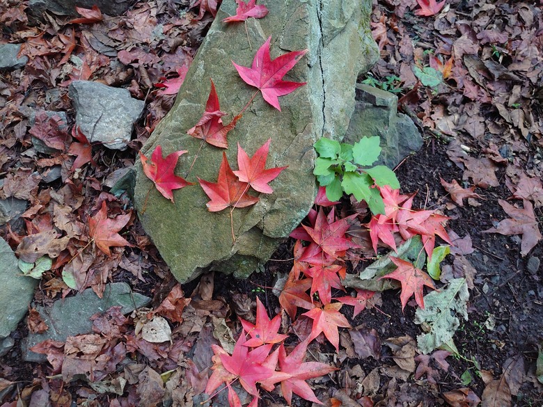2020/12/26 霞喀羅大山、佐藤山，夜宿清泉天主堂，和April等山友一齊爬山