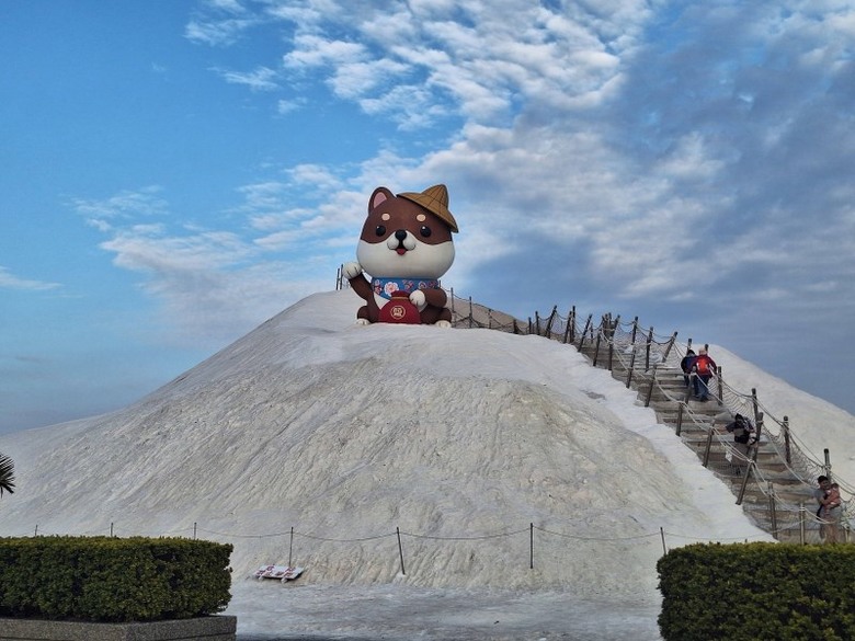 台南超萌新地標！巨型柴犬「鹹DOG DOG」攻佔七股鹽山！