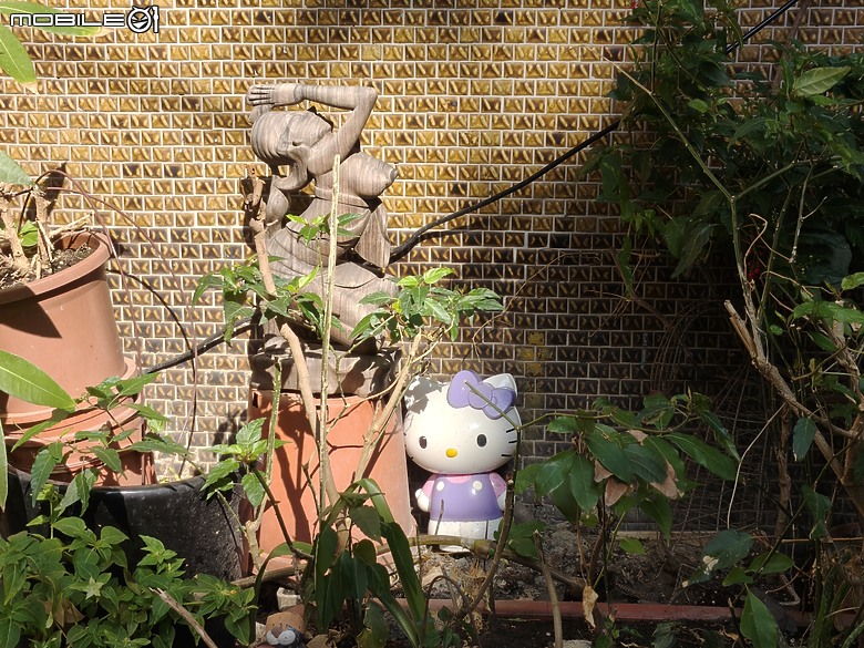 OPPO Reno15 Pro Max 體驗｜2 億畫素主鏡頭加持，實況照片玩法再升級！