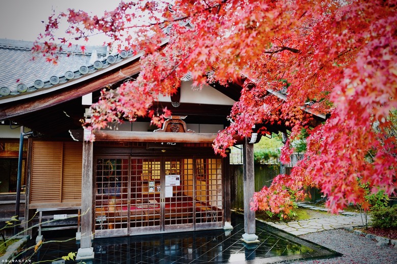 京都楓紅+富士山的10天日韓自由行
