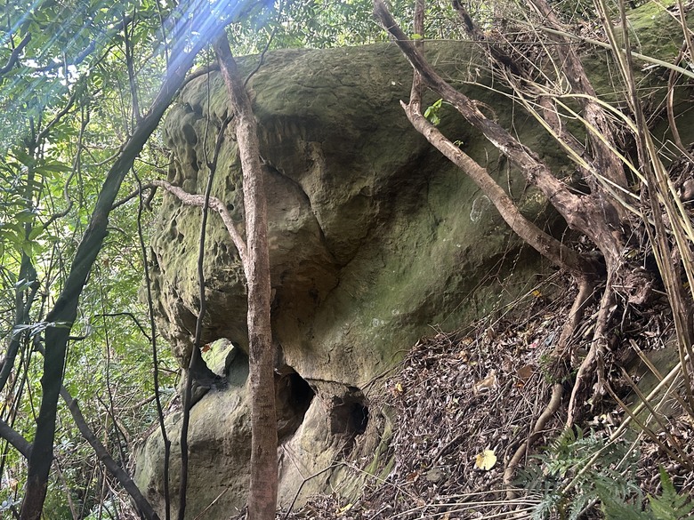 【小惡魔驫到成功】新春搭捷運，登走滿山古蹟的芝山岩步道