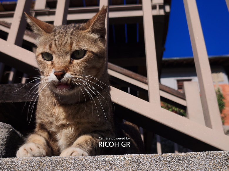 realme GT 8 pro × RICOH GR｜ 街拍的光影協奏曲