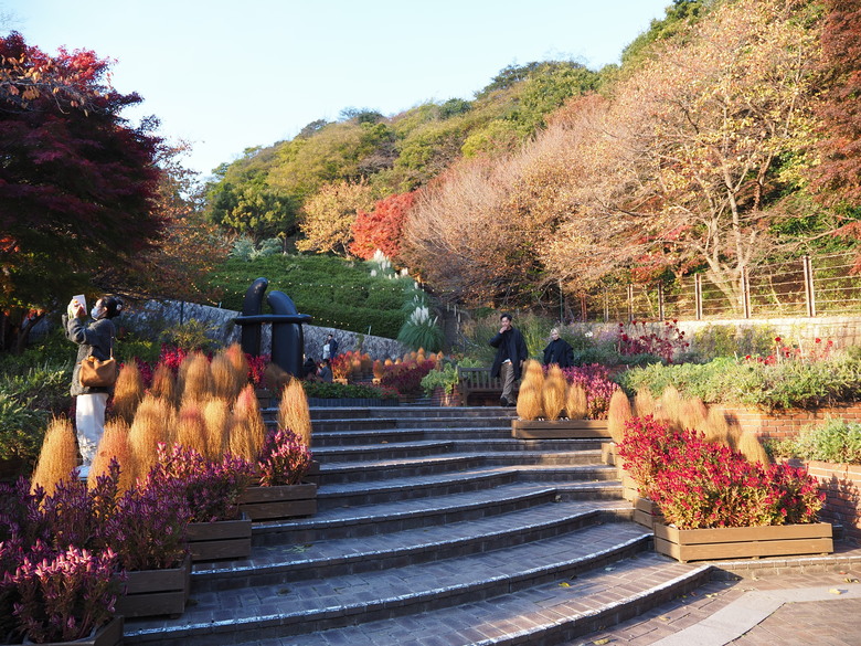 點我看大圖 神戶布引香草園