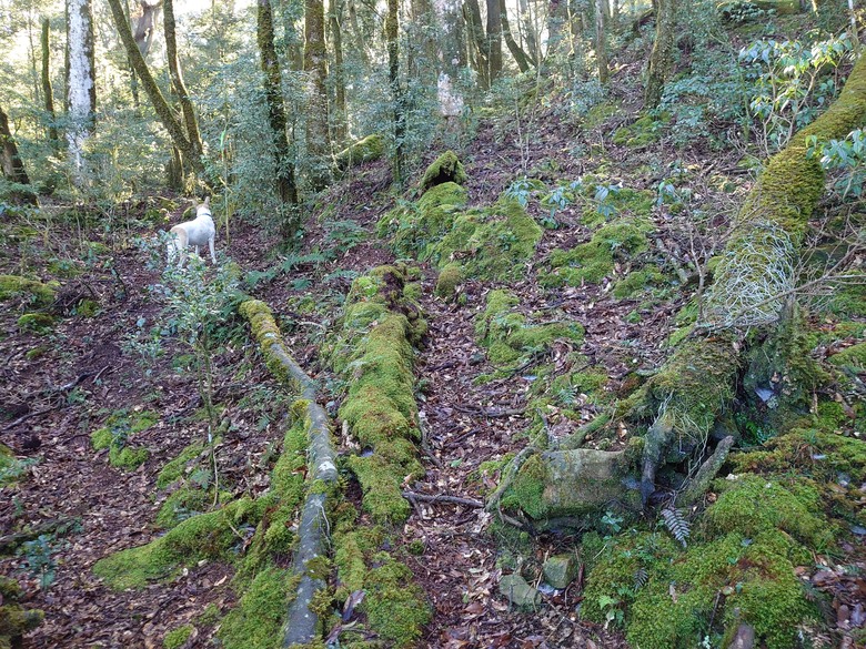 2020/12/26 霞喀羅大山、佐藤山，夜宿清泉天主堂，和April等山友一齊爬山