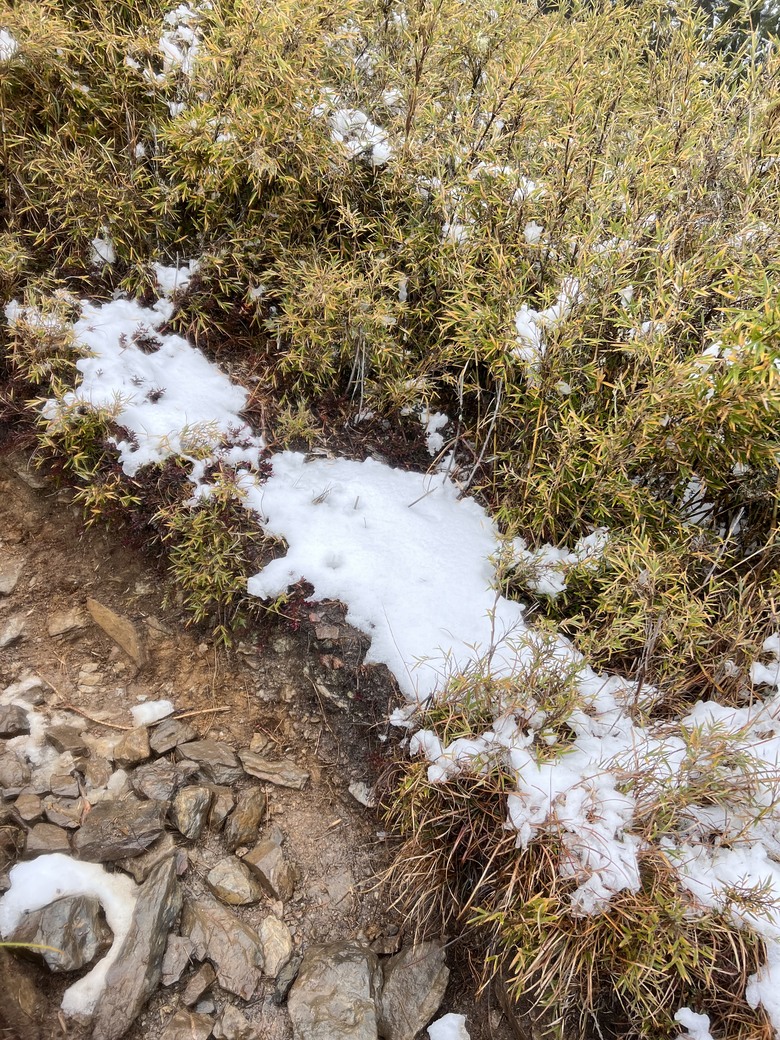 A級百岳完爬的最後一舞…….志佳陽