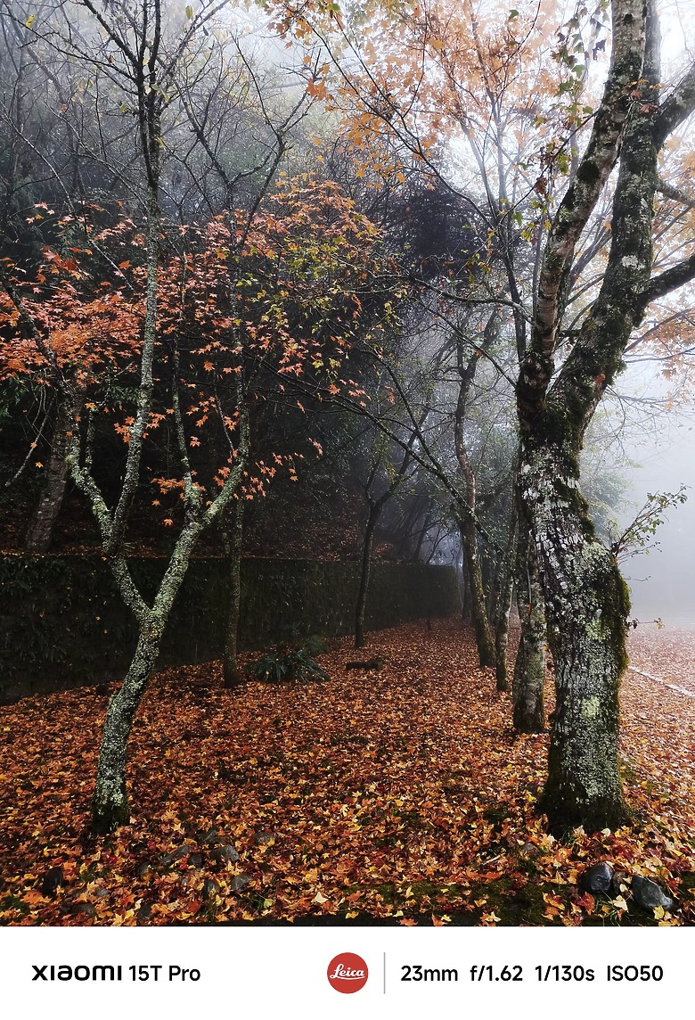 帶著小米15T Pro去旅行 │ 攝影人的減法心法：大雪山之旅輕裝實測