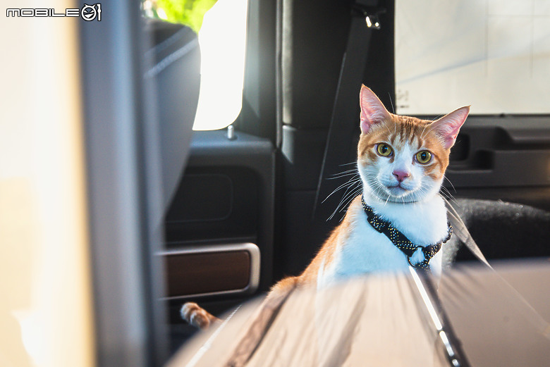 駕著Mercedes-Benz G 450 d來趟露營體驗，在城市與山林間恣意轉換的生活態度！