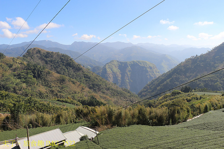 嘉義阿里山 隙頂 璦勒芬莊園民宿 全新開箱