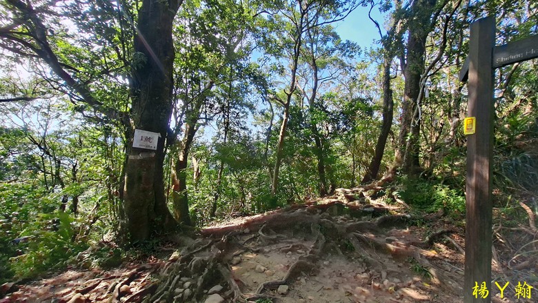 [2025 微笑山線] 北部三大岩場之 筆架連峰縱走