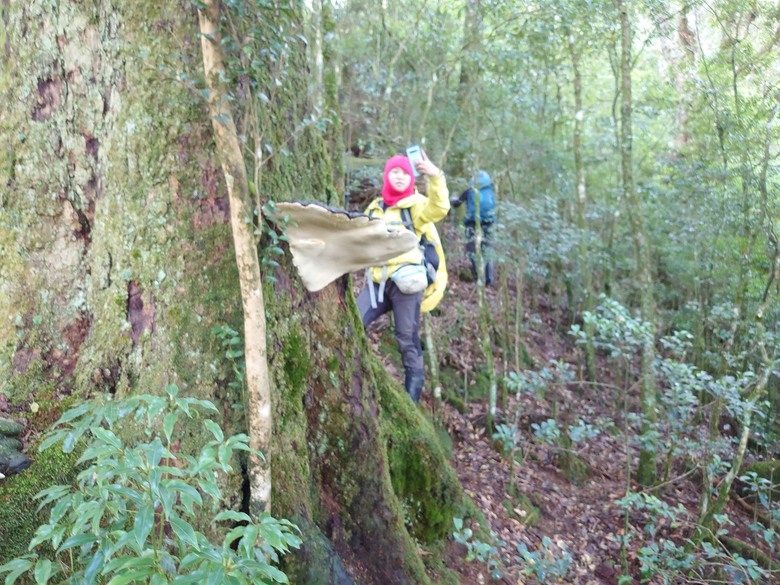 2020/12/26 霞喀羅大山、佐藤山，夜宿清泉天主堂，和April等山友一齊爬山