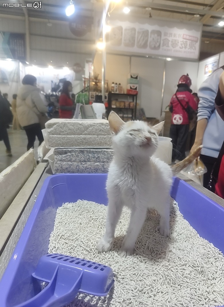 台中寵物展荷包失守分享