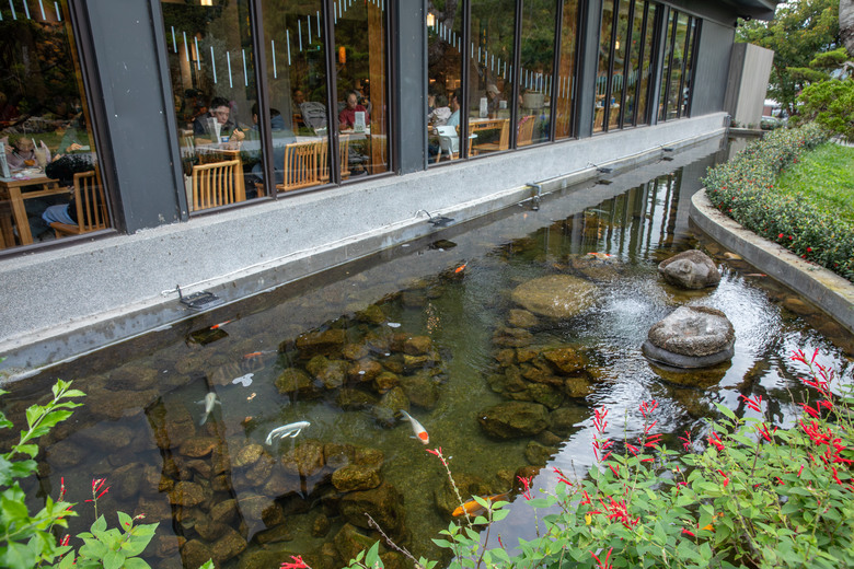 點我看大圖 在春秋交界入座,南投山林裡的食光