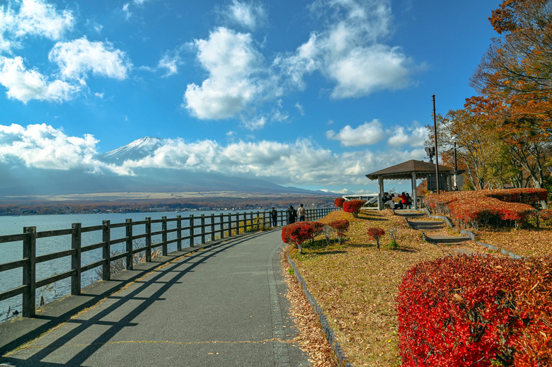 富士五湖與伊豆半島自駕6日遊 part1-山中湖、鉄砲木ノ頭 、本栖湖、河口湖、富士淺間神社