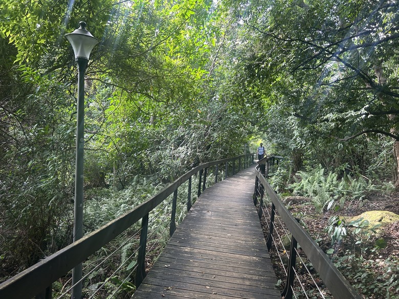 【小惡魔驫到成功】新春搭捷運，登走滿山古蹟的芝山岩步道