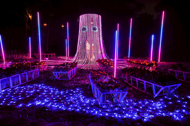 台南 2026龍崎光節 - 空山祭 南台灣冬季最詩意的光影盛典