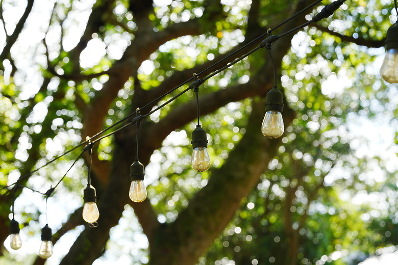 Zeiss Otus ML 1.4/50 & 1.4/85 雙鏡評測｜無反手動鏡的天花板、極致解像力的展現！