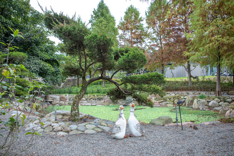 點我看大圖 在春秋交界入座,南投山林裡的食光