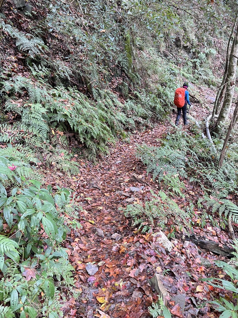 A級百岳完爬的最後一舞…….志佳陽