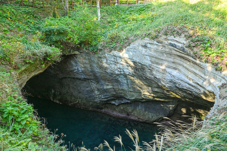 富士五湖與伊豆半島自駕6日遊 part4-堂島、天窓洞、達磨山、韮山反射爐、大室山、一碧湖、明治神宮外苑銀杏林