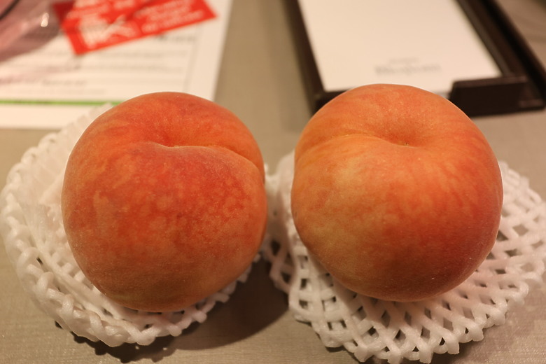 西九州自由行--下集(火車篇:長崎稻佐山夜景/豪斯登堡樂園/福岡市區逛街美食)