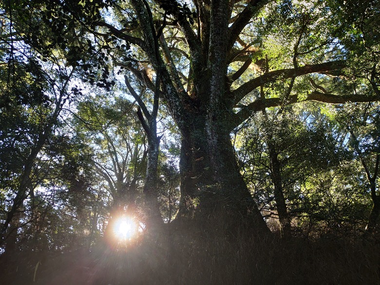 2020/12/26 霞喀羅大山、佐藤山，夜宿清泉天主堂，和April等山友一齊爬山