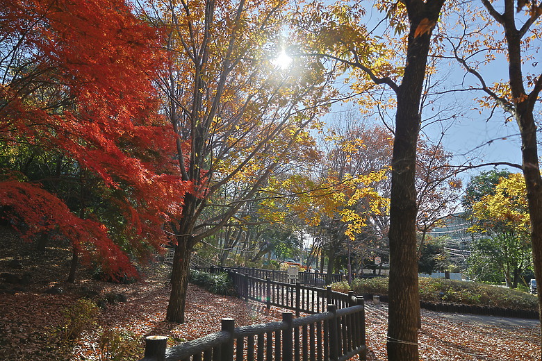 Canon EOS R6 Mark III 評測報告｜7K Open Gate 加持、定義全能新標竿！