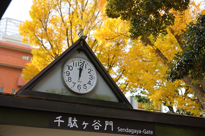 Canon EOS R6 Mark III 評測報告｜7K Open Gate 加持、定義全能新標竿！