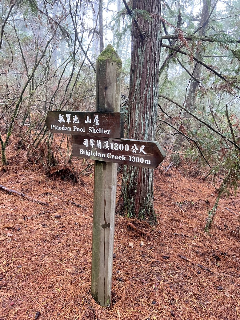 A級百岳完爬的最後一舞…….志佳陽