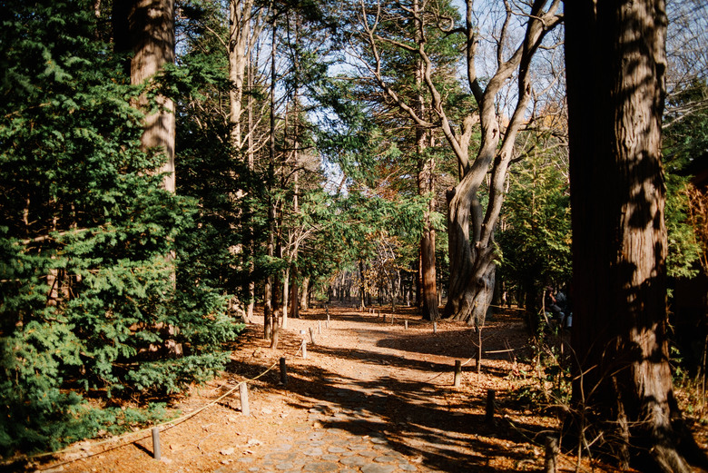 初見北海道札幌-下