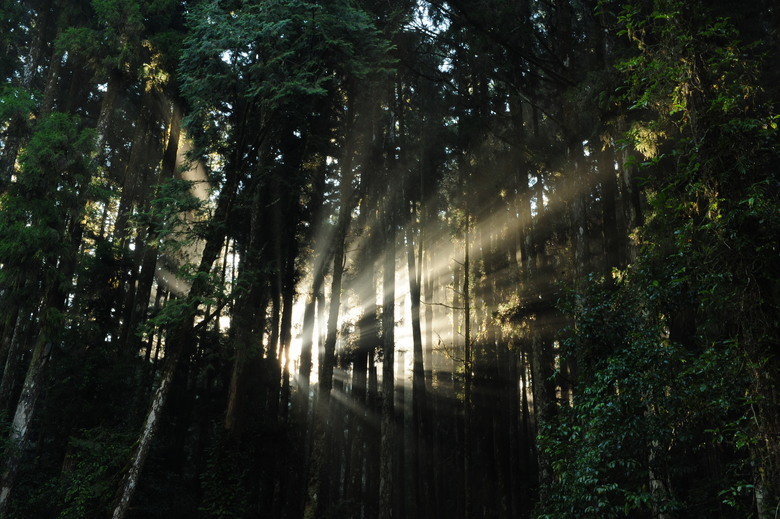 爬水樣森林，露營穿總統元旦外套，保暖又防水~~