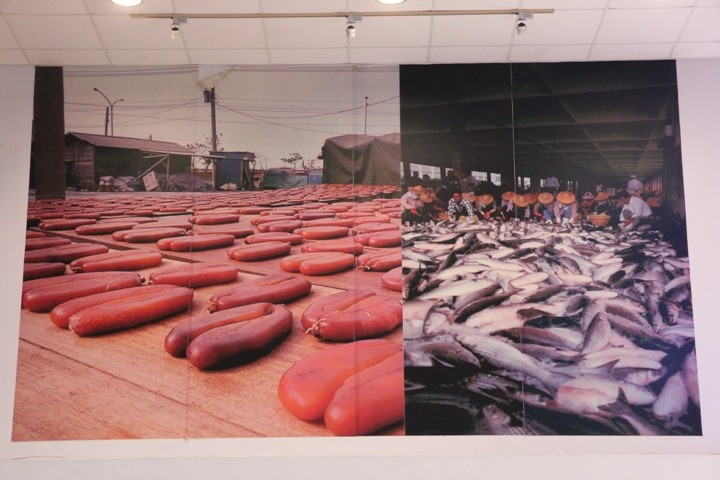 海 線 高 雄 梓 官 一 日 騎 遊 ( 中 集 )