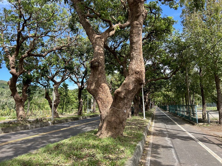 騎 訪 舊 東 線 小 站 ( 檳 榔 車 站 )