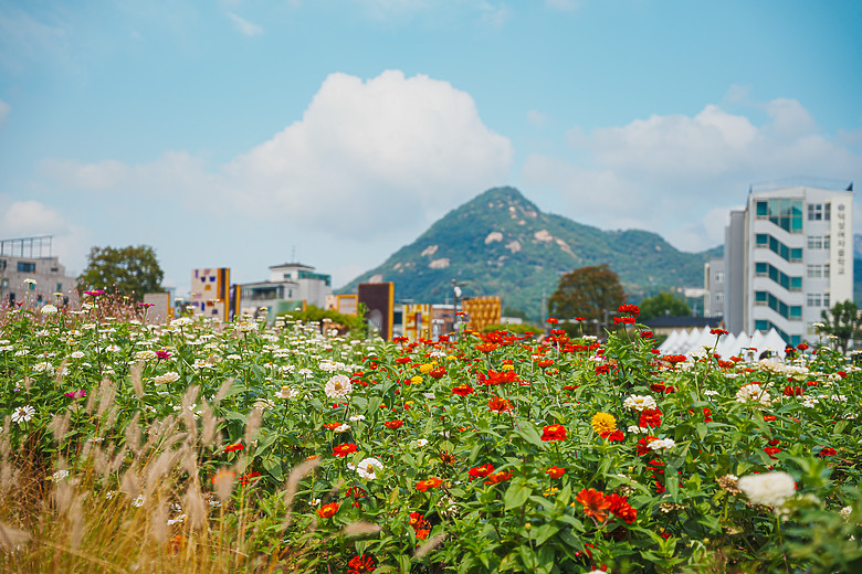 首爾4天3夜 美食&血拼之旅 ─ 下篇『韓國最大宮殿&米其林美食』
