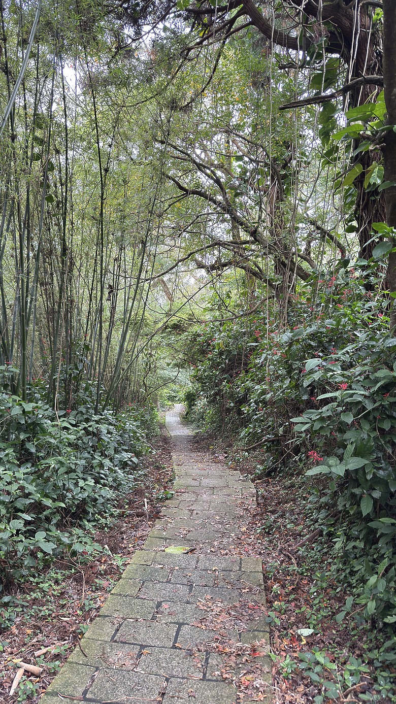北投惇敘商工・橫嶺古道、太子亭遺跡、紗帽山散步之旅｜使用蔡司雙筒望遠鏡ZEISS Victory Pocket 10x25
