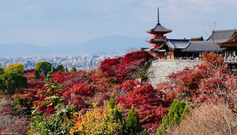 京都楓紅+富士山的10天日韓自由行