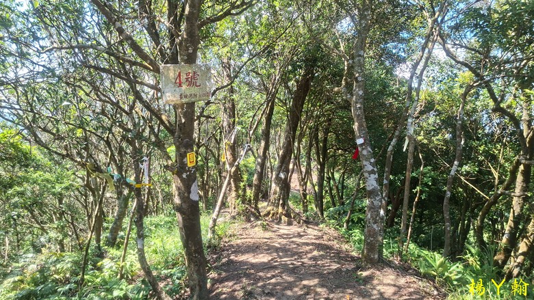 [2025 微笑山線] 北部三大岩場之 筆架連峰縱走