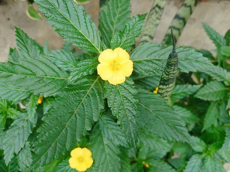 天寒地凍,有什麼可以取代暖暖包?