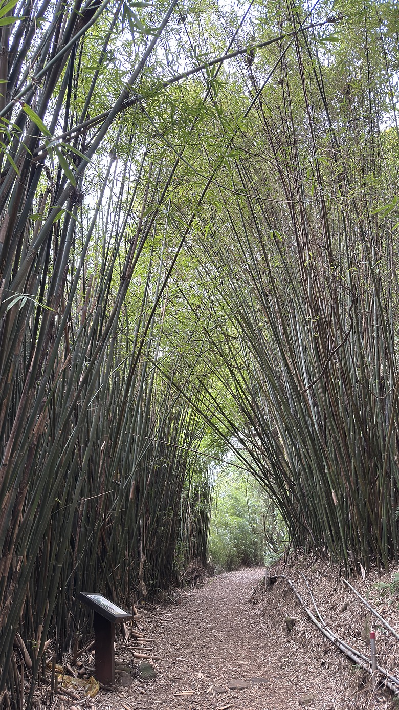 北投惇敘商工・橫嶺古道、太子亭遺跡、紗帽山散步之旅｜使用蔡司雙筒望遠鏡ZEISS Victory Pocket 10x25
