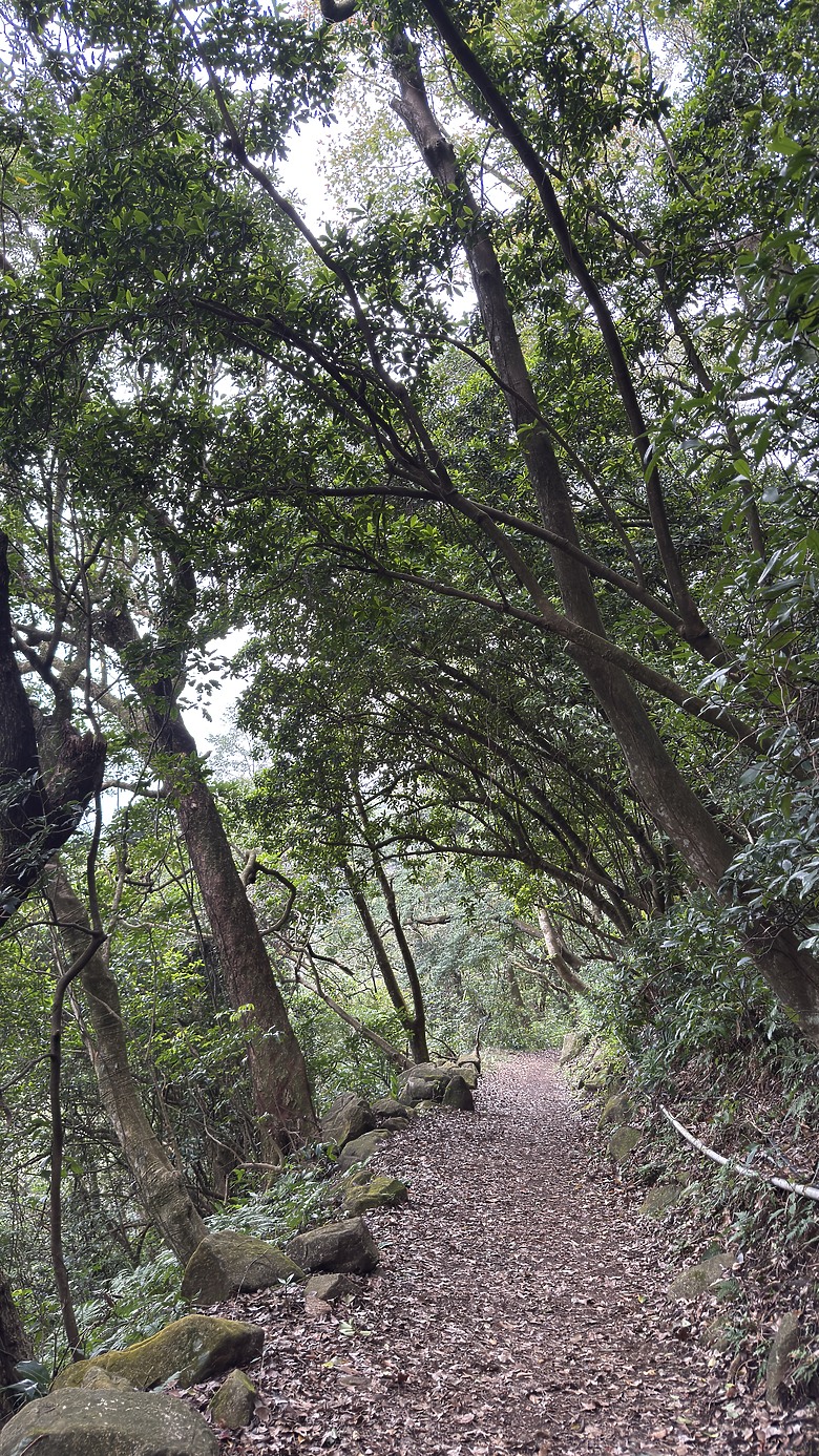 北投惇敘商工・橫嶺古道、太子亭遺跡、紗帽山散步之旅｜使用蔡司雙筒望遠鏡ZEISS Victory Pocket 10x25