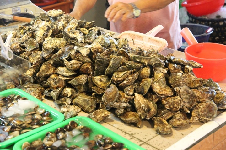 海 線 高 雄 梓 官 一 日 騎 遊 ( 下 集 )
