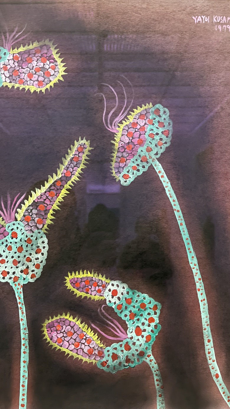 草間彌生首次回顧展在巴塞爾貝耶勒基金會