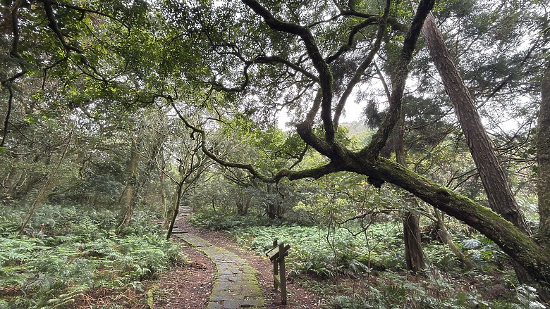 北投惇敘商工・橫嶺古道、太子亭遺跡、紗帽山散步之旅｜使用蔡司雙筒望遠鏡ZEISS Victory Pocket 10x25