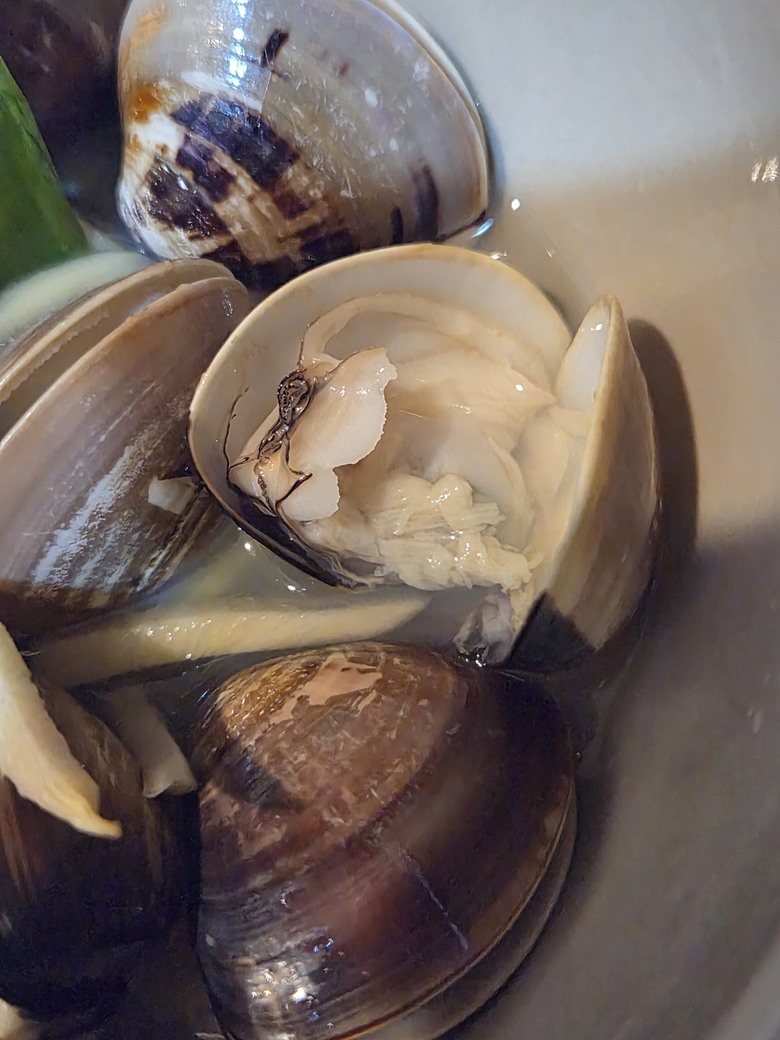 簡單分享新入手的雙槽氣炸鍋，早午餐可以一次出爐還滿讚的！