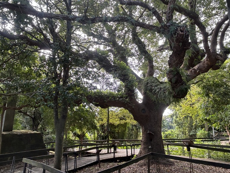 【小惡魔驫到成功】新春搭捷運，登走滿山古蹟的芝山岩步道