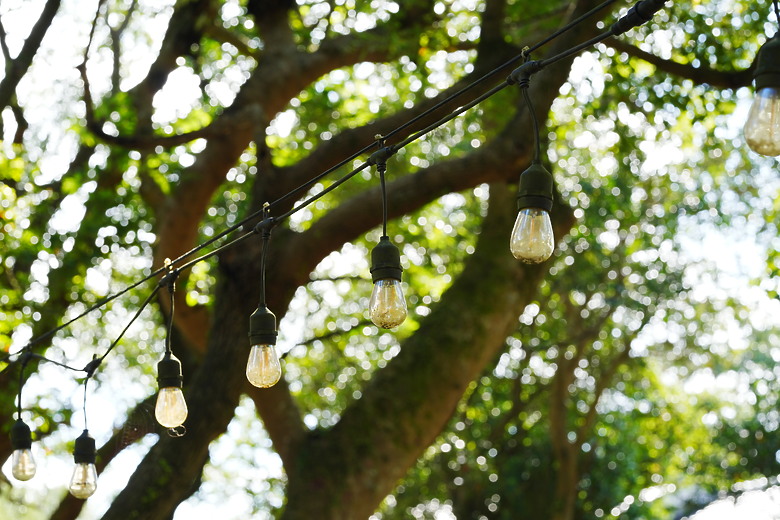 Zeiss Otus ML 1.4/50 & 1.4/85 雙鏡評測｜無反手動鏡的天花板、極致解像力的展現！