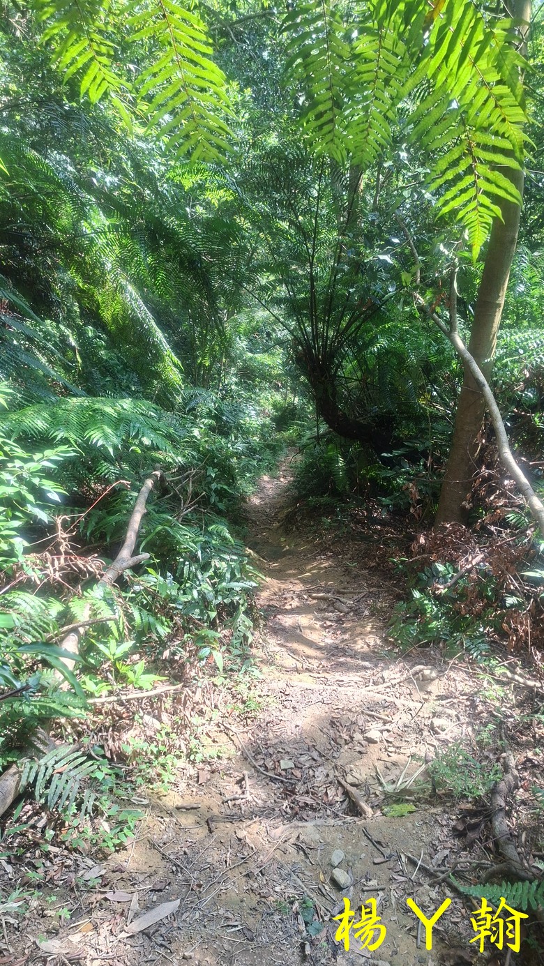 [2025 微笑山線] 北部三大岩場之 筆架連峰縱走