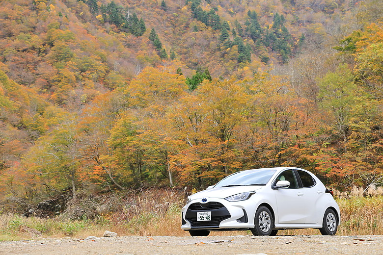 點我看大圖 (映像旅行)“EP3”在新潟感受楓紅綺麗、酒造人文之美with日本東北賞楓自駕輕旅