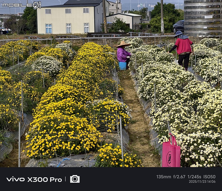 vivo X300 Pro 臺灣上市版本 旅拍攝影2個月之實拍分享