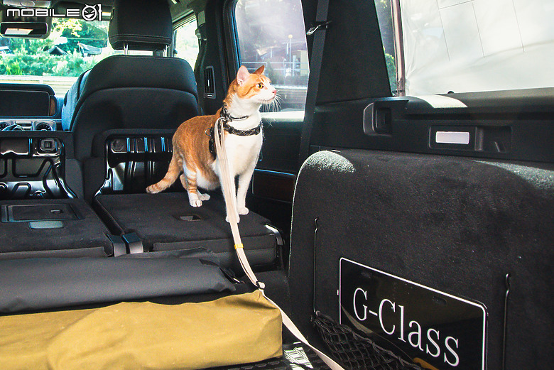 駕著Mercedes-Benz G 450 d來趟露營體驗，在城市與山林間恣意轉換的生活態度！